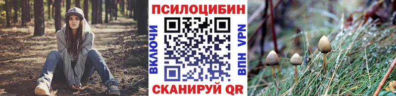 сколько стоит Рудня Галлюциногенные грибы ЛСД