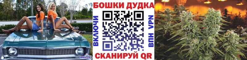 omg зеркало  закладка  Рудня  Канабис планчик 